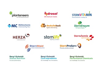 The logos of the Stern-Wywiol Gruppe's brands